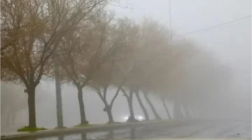 طقس الأردن.. منخفض جوي جديد يبدأ تأثيره الفعلي في هذا الموعد المرتقب